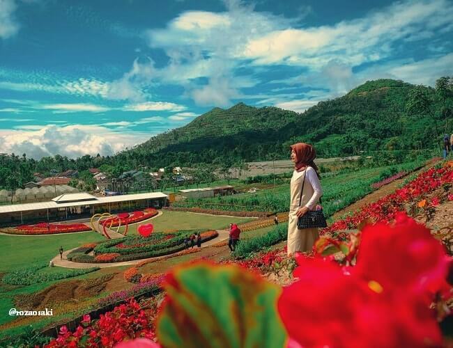 kutabawa flower garden
