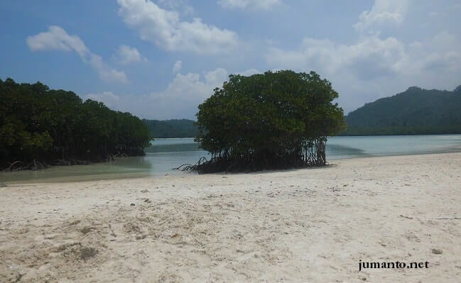 pasir pantai pahawang