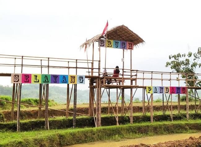 brugh selayang pandang makam wangi