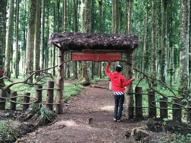 camping ground