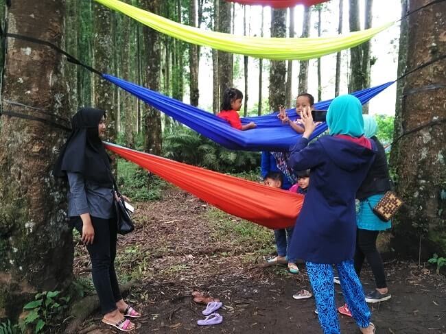 hammock kampung kurcaci