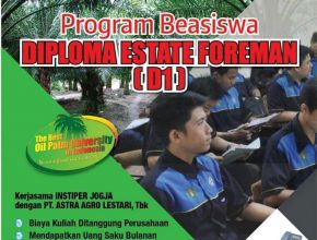 universitas swasta yang lulusannya langsung kerja